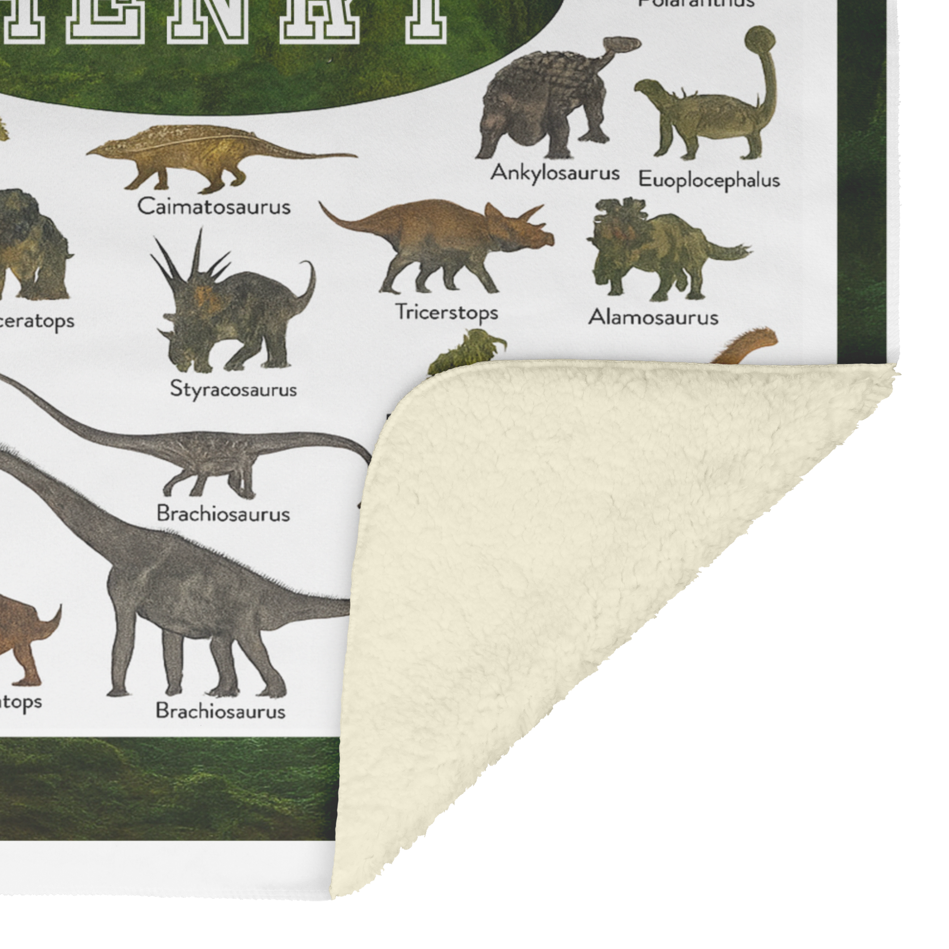 kid_blanket_V_Blanket_Sherpa_Mockup.png