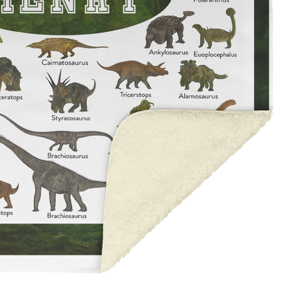 kid_blanket_V_Blanket_Sherpa_Mockup.png